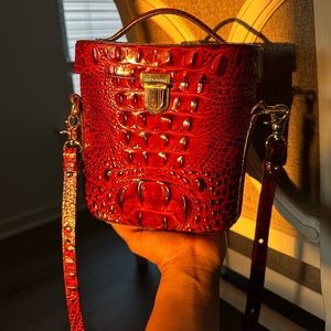 Classic brown Brahmin